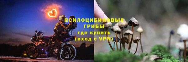 дмт Лиски
