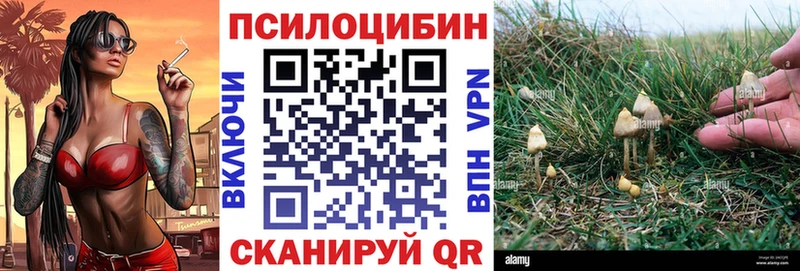 блэк спрут ONION Нестеровская Галлюциногенные грибы Magic Shrooms